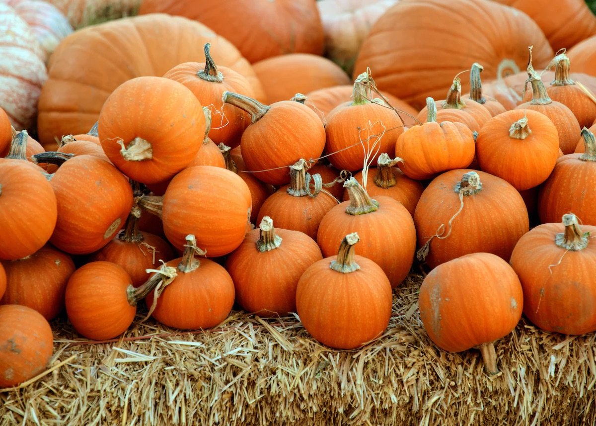 hELLO, sEPTEMBER.